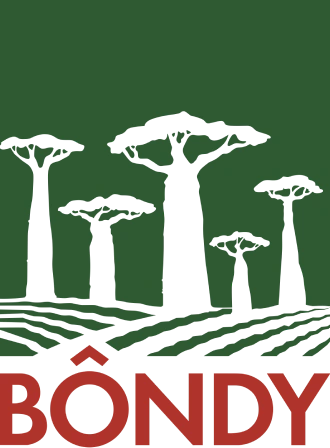 logo bondy